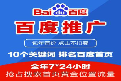 竞价推广实战：成功案例背后的技巧揭秘